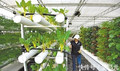 太空種子 神舟十二號的特殊“乘客”，為農(nóng)業(yè)插上科技翅膀