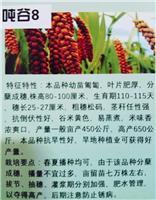 尚志市化工產(chǎn)業(yè)集聚區(qū)周邊農(nóng)作物的種子選擇與生態(tài)考量